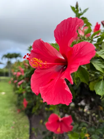 a view of a small yard