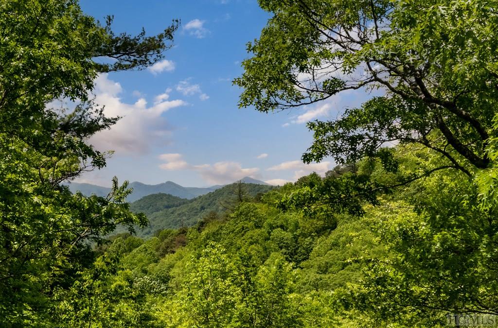 307 Old Bear Ridge Road Scaly Mountain, NC 28775 - Photo 8 of 11 Gallery Image 8