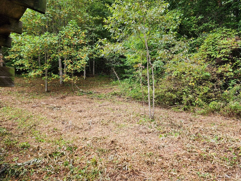 423 Graves Vly Road Murphy, NC 28906 - Photo 3 of 4 Gallery Image 3