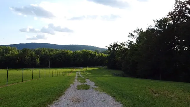 a view of outdoor space with yard