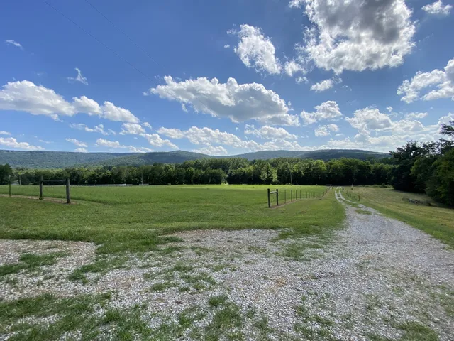 a view of a backyard with a tree