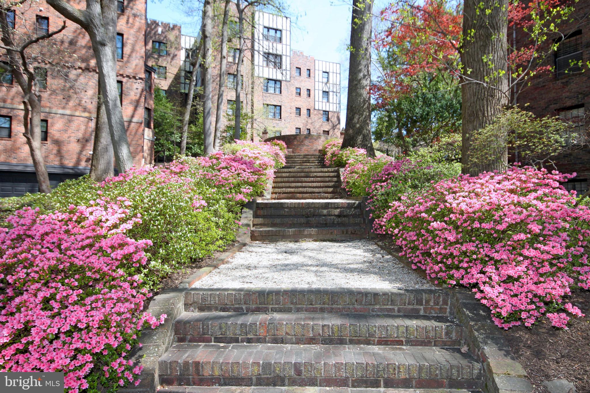 3020 Tilden Street Northwest, Unit 104 Washington, DC 20008 - Photo 30 of 40 Acres of private gardens for resident use