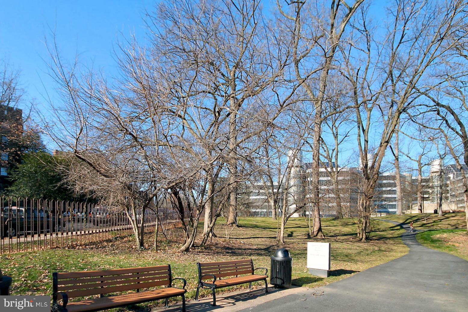 3020 Tilden Street Northwest, Unit 104 Washington, DC 20008 - Photo 34 of 40 Squirrel park is right across the street