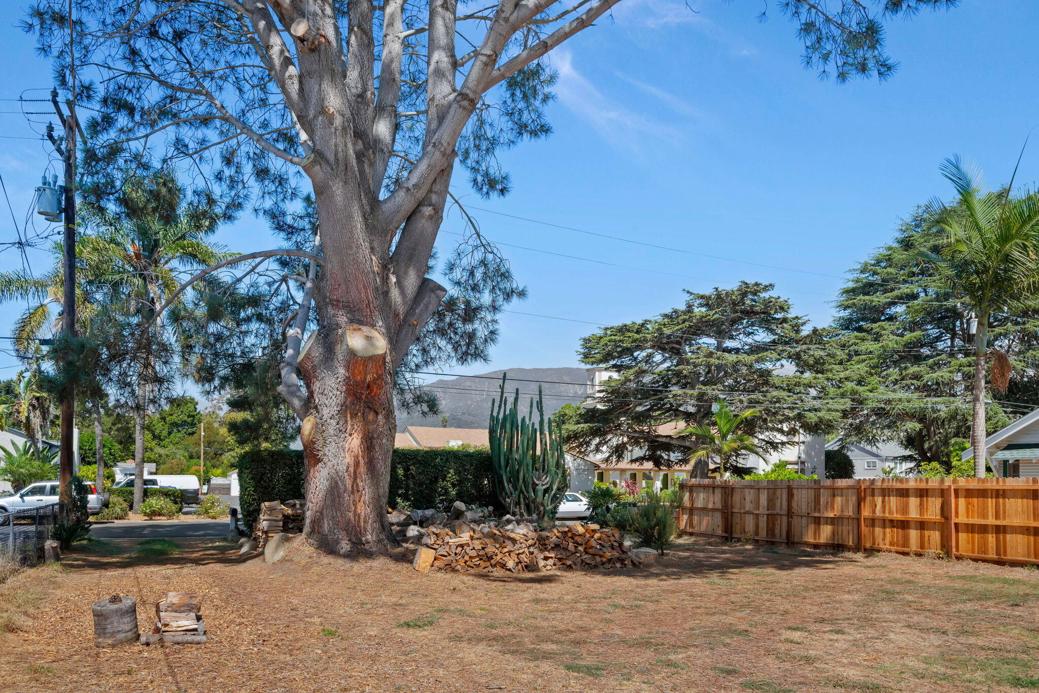 1090 Vallecito Road Carpinteria, CA 93013 - Photo 5 of 24 a row of palm trees in front of a building