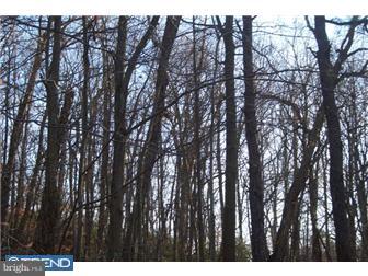 0 Tower Road New Egypt, NJ 08533 - Photo 3 of 6