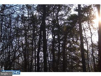 0 Tower Road New Egypt, NJ 08533 - Photo 4 of 6