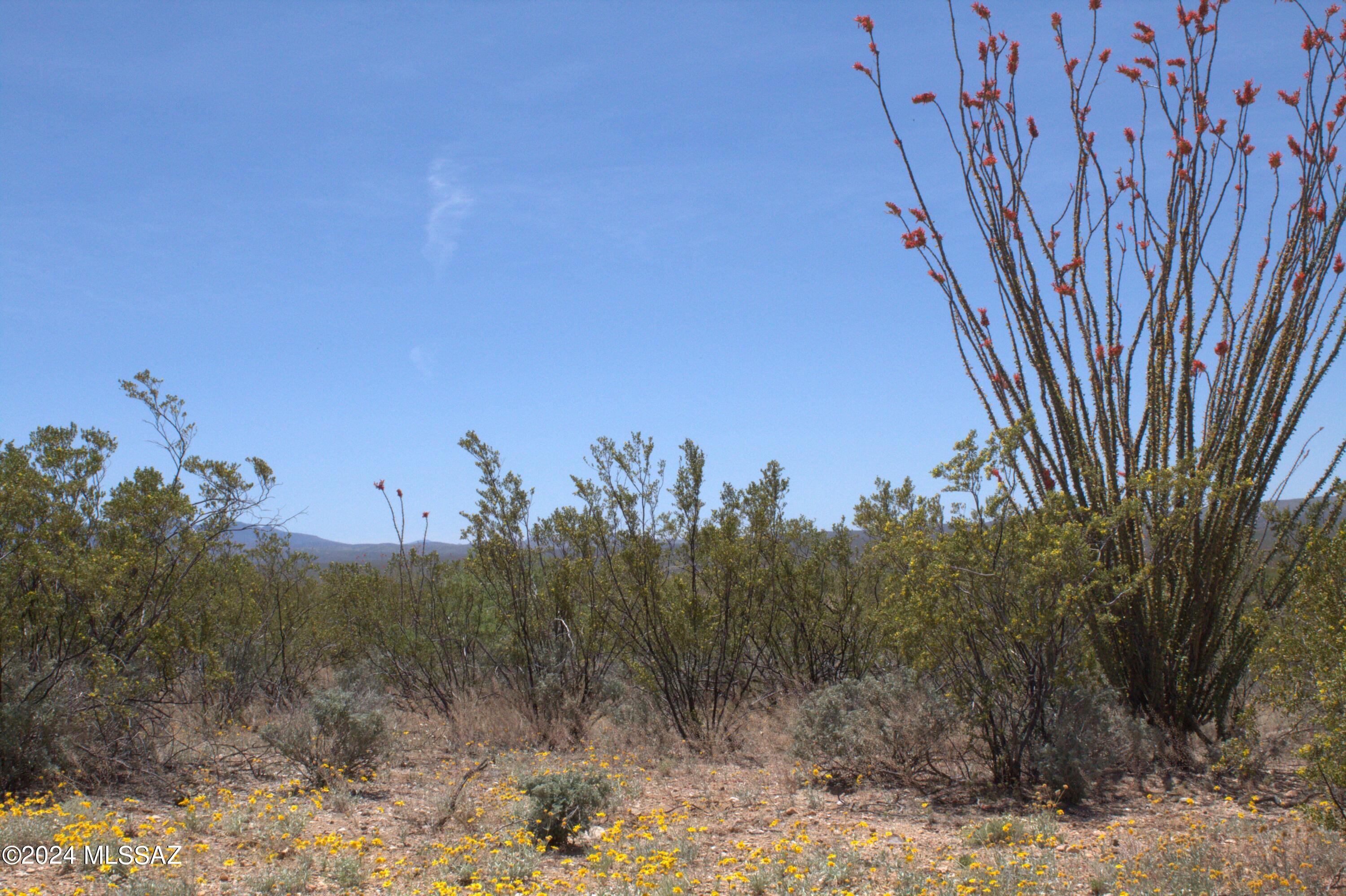 Tbd South Taurus Place Vail, AZ 85641 - Photo 11 of 30
