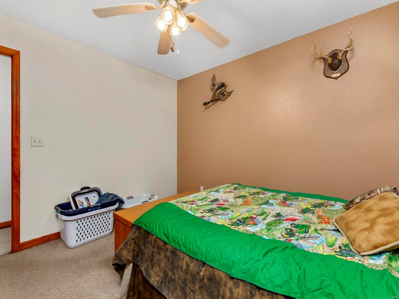 5461 G Road Waterloo, IL 62298 - Photo 27 of 48