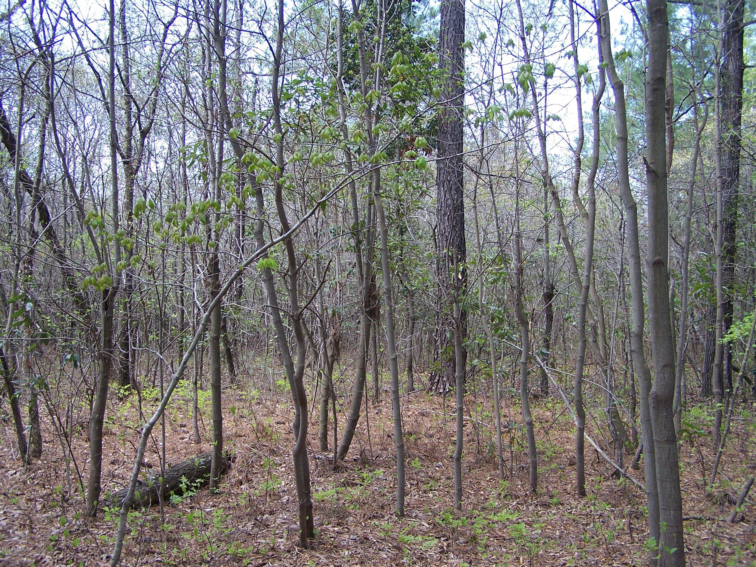 4 Pine Ridge Road Faison, NC 28341 - Photo 4 of 5 100_5085