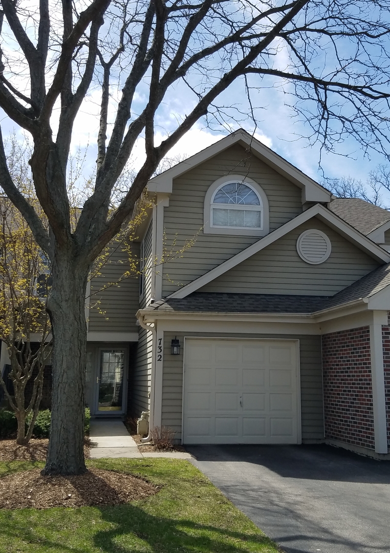 732 Ripple Brook Lane Elgin, IL 60120 - Photo 1 of 9