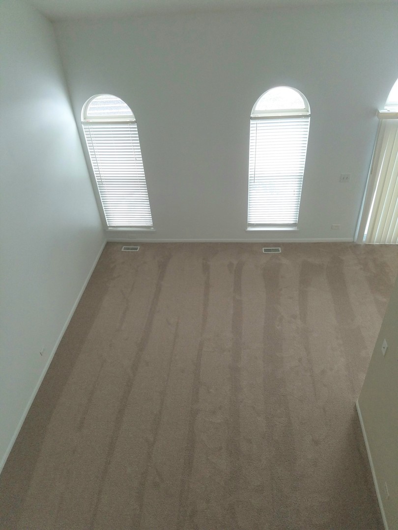 732 Ripple Brook Lane Elgin, IL 60120 - Photo 3 of 9