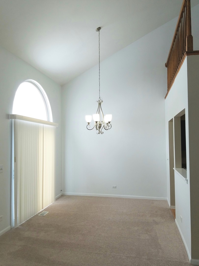 732 Ripple Brook Lane Elgin, IL 60120 - Photo 4 of 9