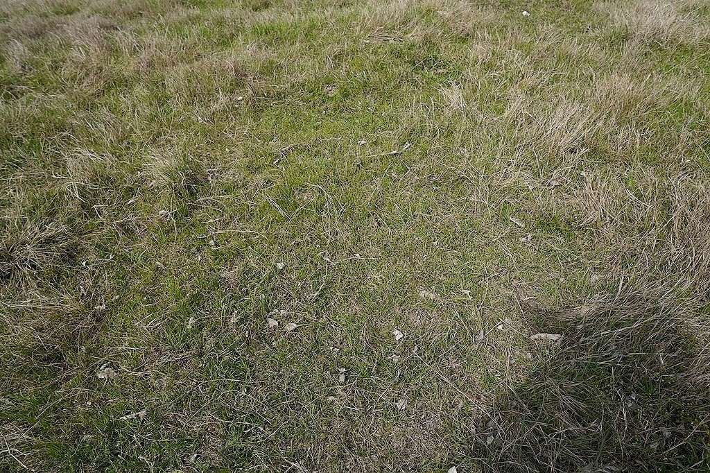 5 Falke-Heinrich Road Schulenburg, TX 78956 - Photo 3 of 8