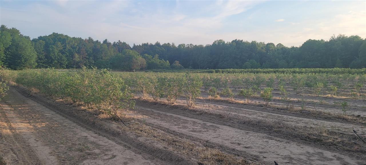 Lot B54 Co Road Covert, MI 49043 - Photo 25 of 28