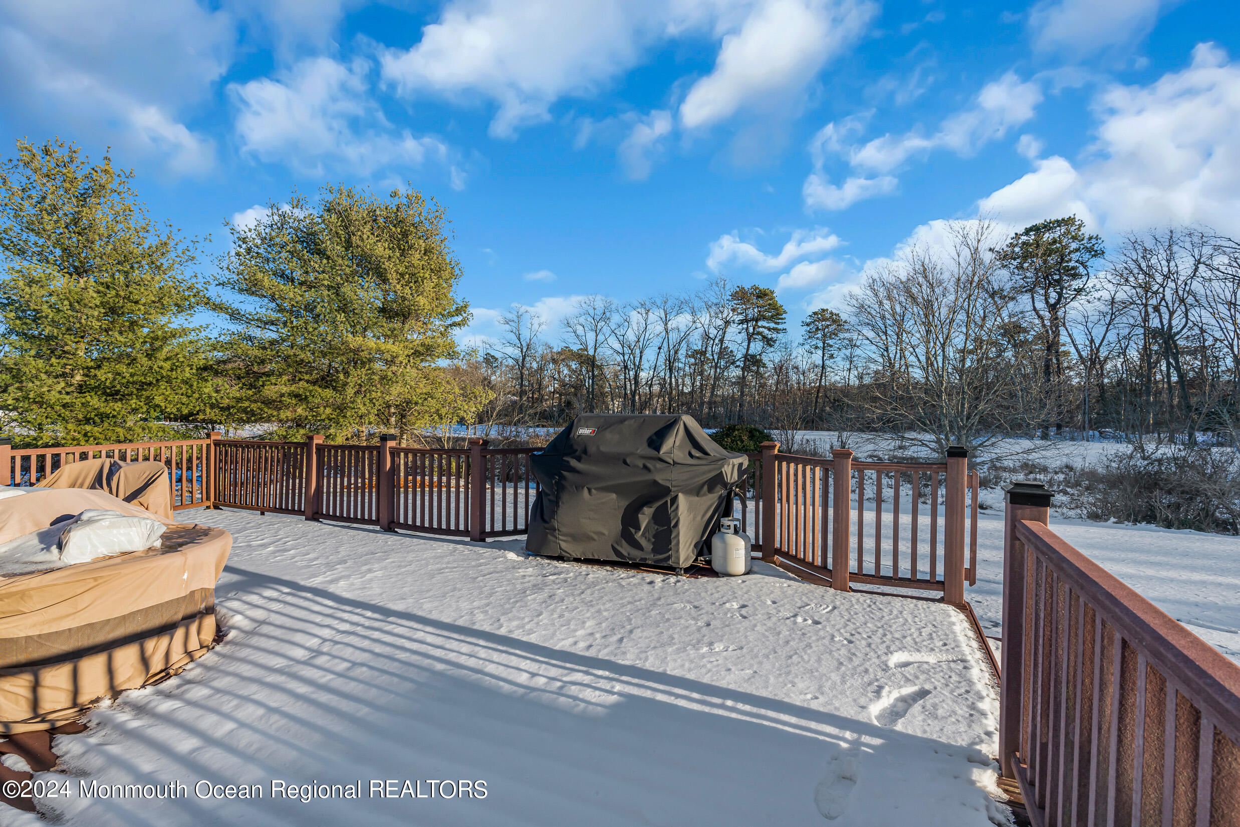 63 West Shenendoah Road Howell, NJ 07731 - Photo 90 of 107 10 (1)
