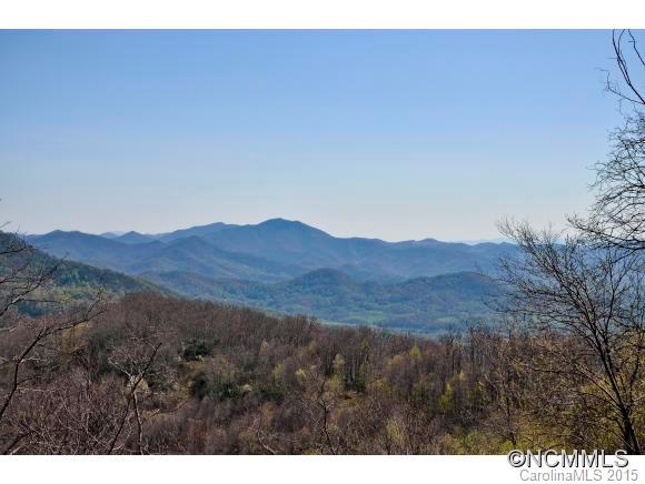 65 Boot Ridge Waynesville, NC 28785 - Photo 3 of 24 Gallery Image 3