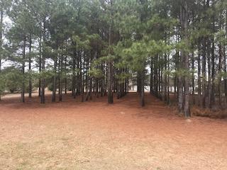 2819 Mill Pond Road Ruffin, SC 29475 - Photo 1 of 14 Front Yard