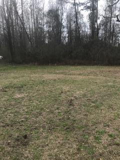 2819 Mill Pond Road Ruffin, SC 29475 - Photo 12 of 14 Back Yard