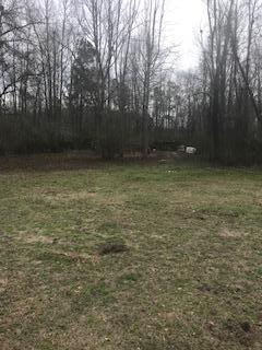 2819 Mill Pond Road Ruffin, SC 29475 - Photo 13 of 14 Back