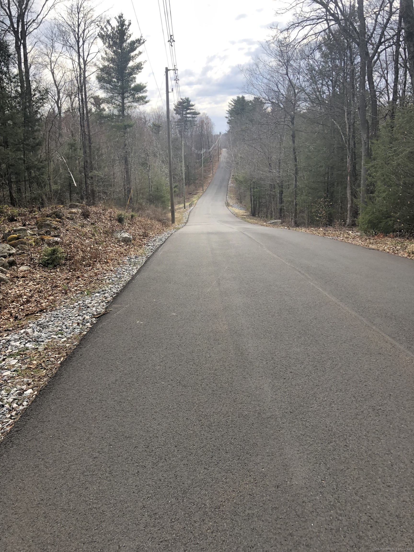 a backyard of a house with trees