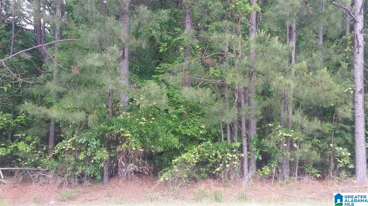 3527 McIntosh Road, Unit 12 Oxford, AL 36203 - Photo 13 of 16