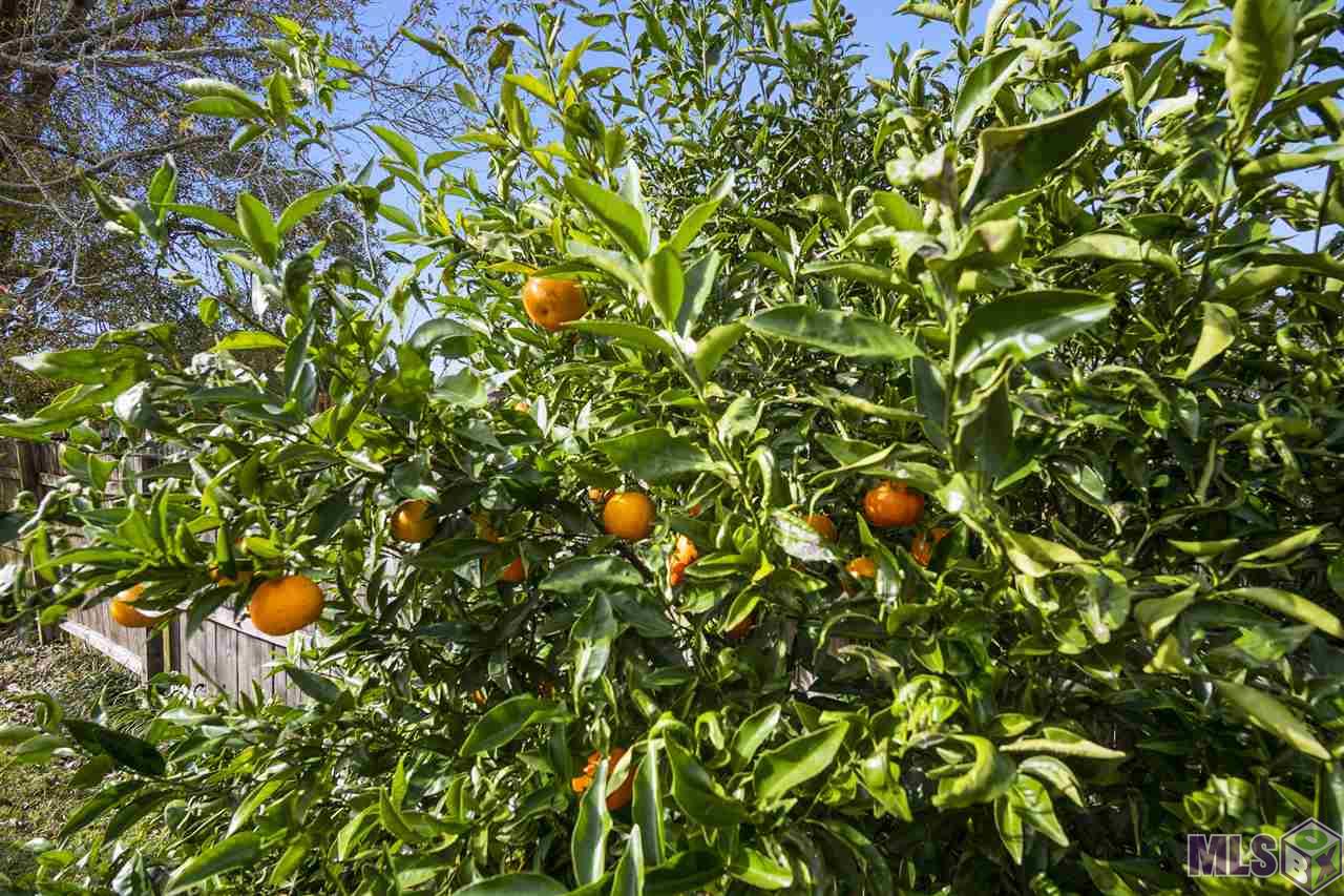 6402 Audubon Square Baton Rouge, LA 70817 - Photo 39 of 39