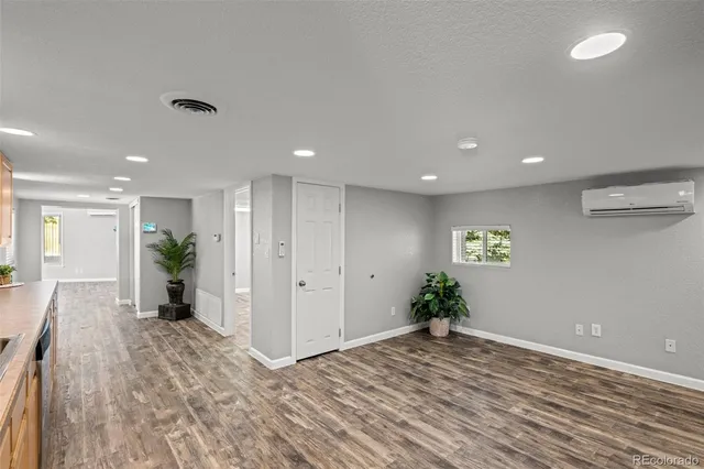 a view of a big room with wooden floor and a potted plant