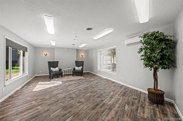 a living room with furniture and a potted plant