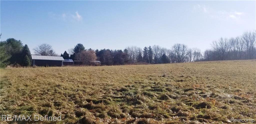 4580 Shoemaker Road Almont, MI 48003 - Photo 8 of 26