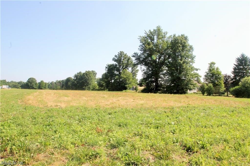 1683 Reimer Road Wadsworth, OH 44281 - Photo 4 of 5 Gallery Image 4