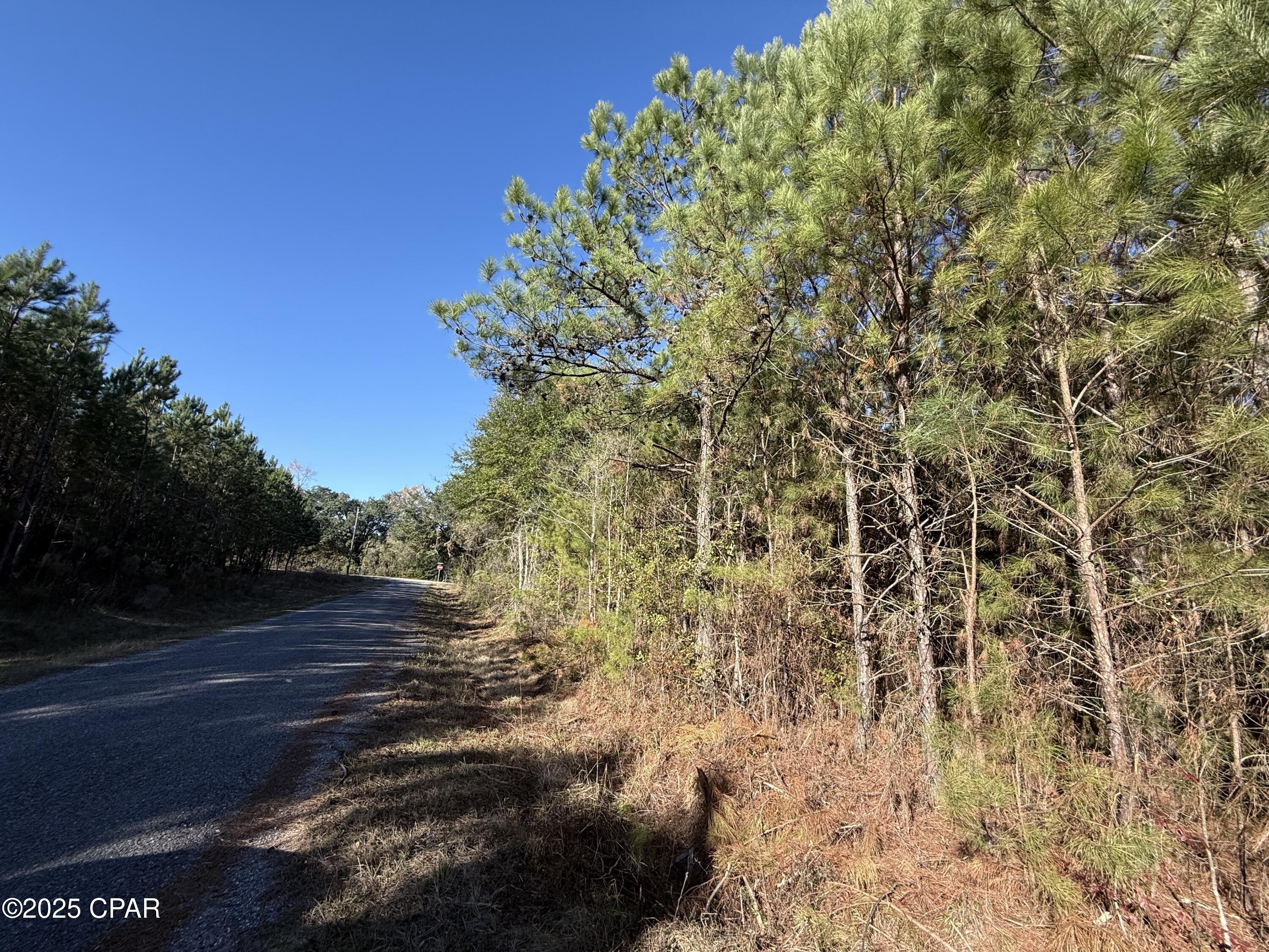 0 Bull Run Lane Marianna, FL 32446 - Photo 2 of 3