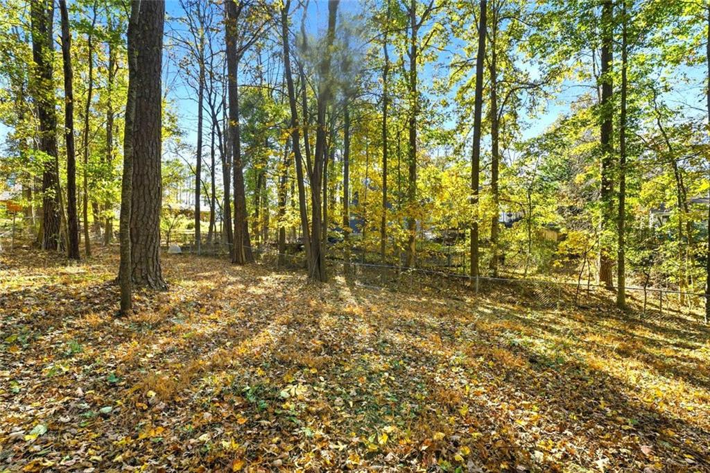 4099 Harvest Ridge Drive Douglasville, GA 30135 - Photo 42 of 46 a view of backyard with pathway