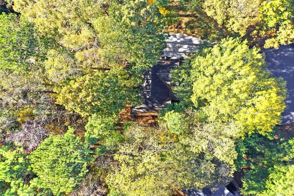 4099 Harvest Ridge Drive Douglasville, GA 30135 - Photo 43 of 46 a picture of tree