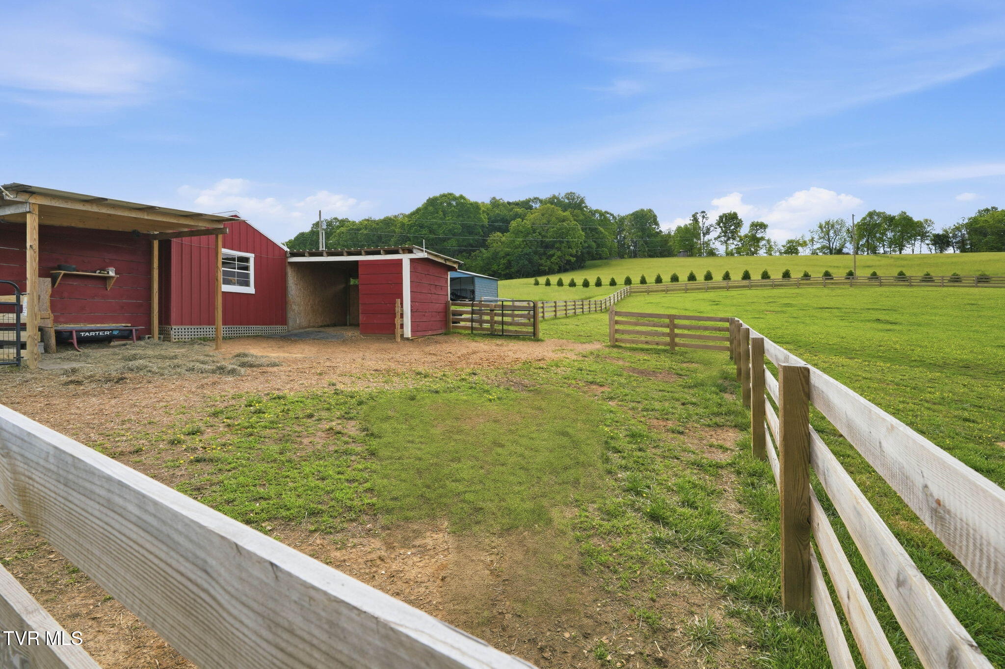 1790 Allison Road, Unit 1780 Piney Flats, TN 37686 - Photo 56 of 63 50-web-or-mls-1790 Allison Rd-54