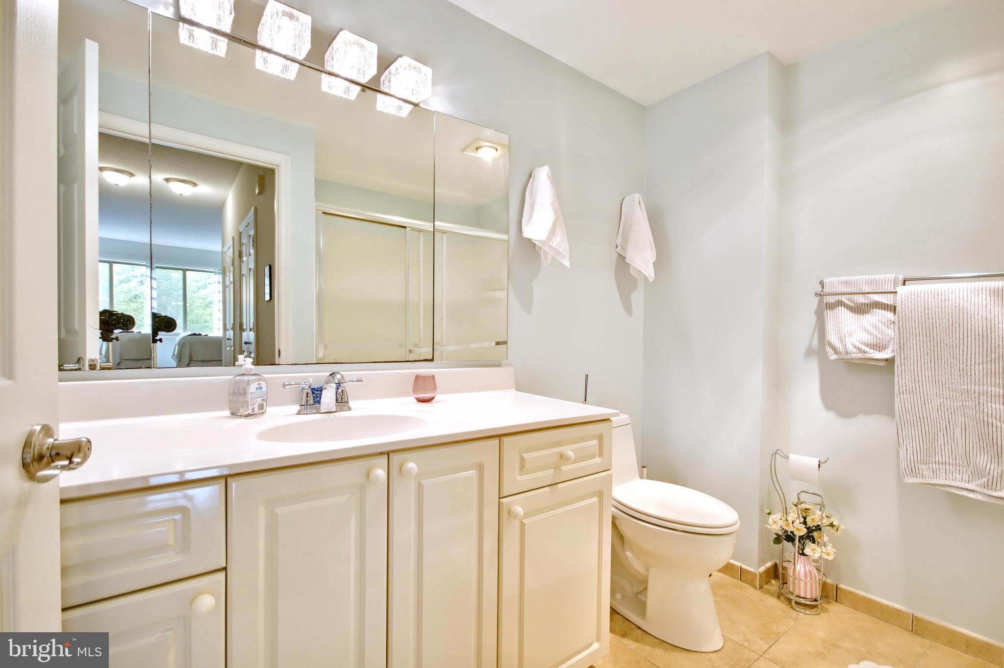 940 Astern Way, Unit 309 Annapolis, MD 21401 - Photo 25 of 52 a bathroom with a sink a toilet and a mirror