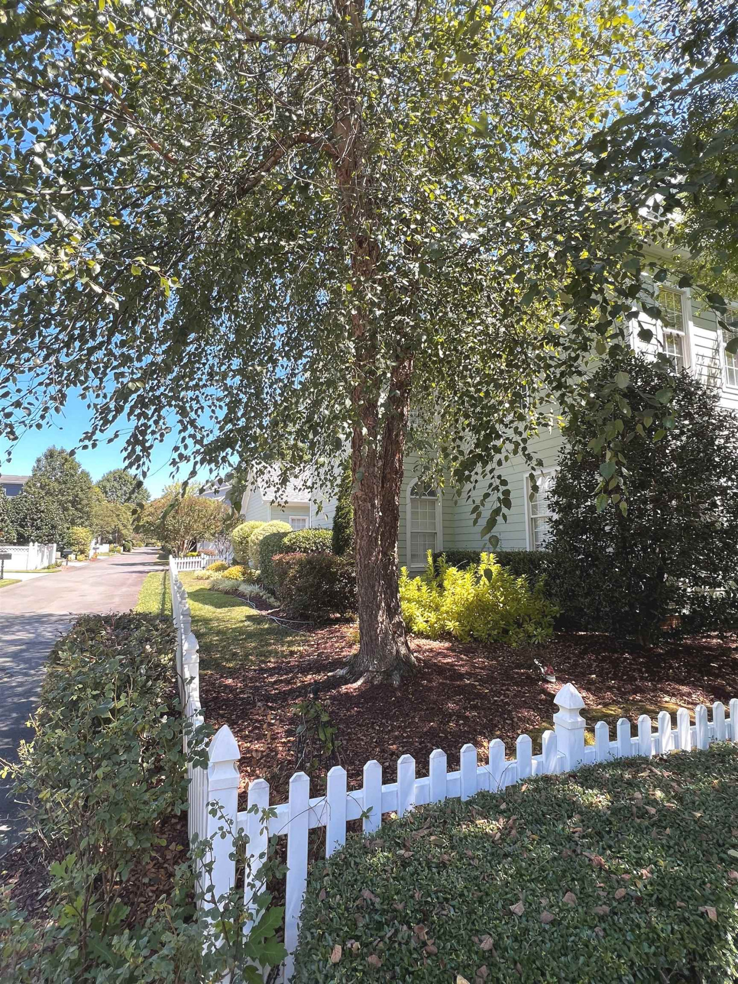 1911 Hornbeck Court Raleigh, NC 27614 - Photo 3 of 47 a view of yard with tree in back