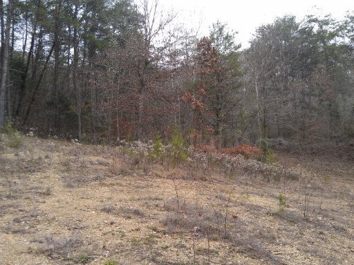 9356 Graves Road Maynardville, TN 37807 - Photo 22 of 25 Additional Photo