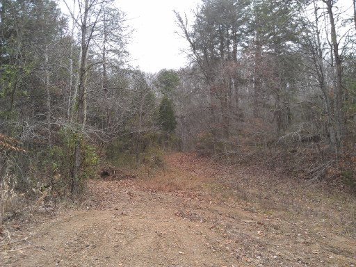 9356 Graves Road Maynardville, TN 37807 - Photo 23 of 25 Additional Photo