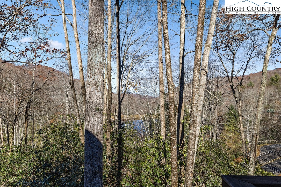 1461 Pine Ridge Road Beech Mountain, NC 28604 - Photo 39 of 47