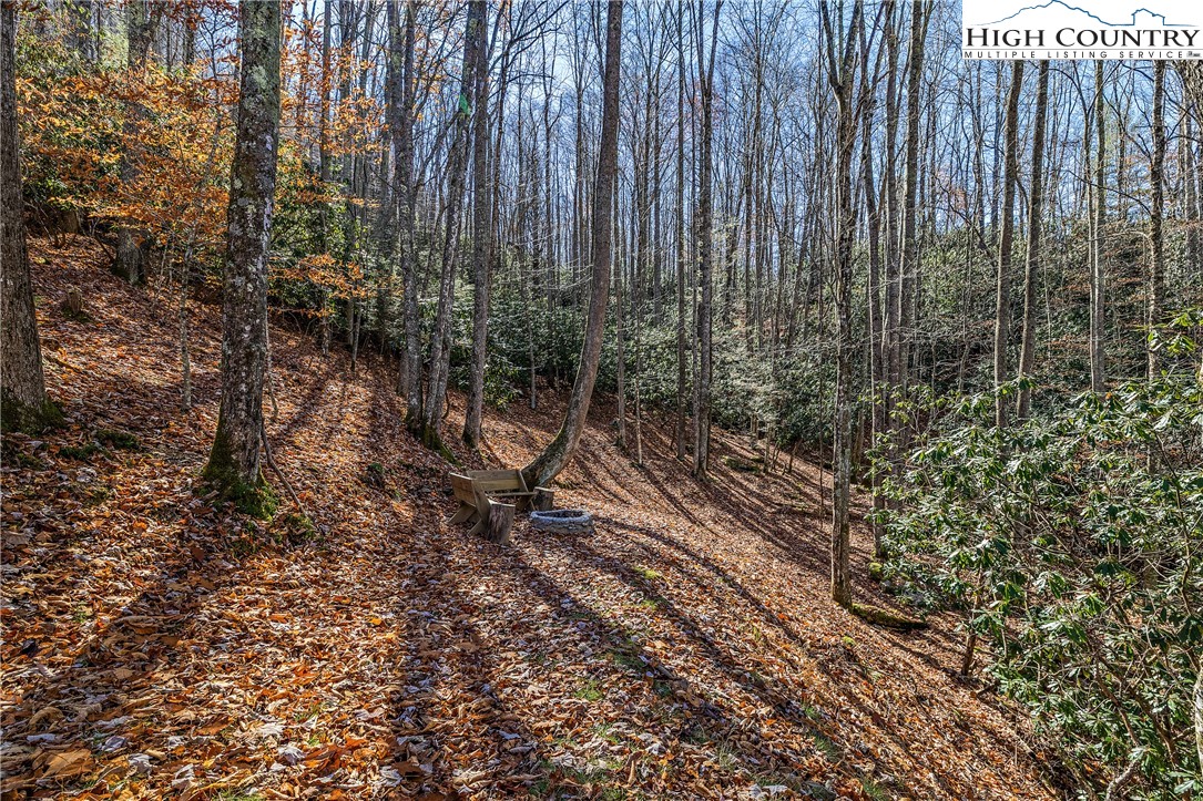 1461 Pine Ridge Road Beech Mountain, NC 28604 - Photo 40 of 47