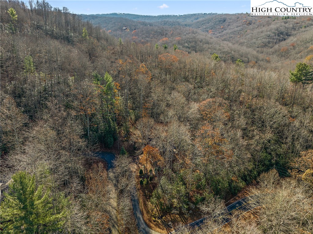 1461 Pine Ridge Road Beech Mountain, NC 28604 - Photo 41 of 47