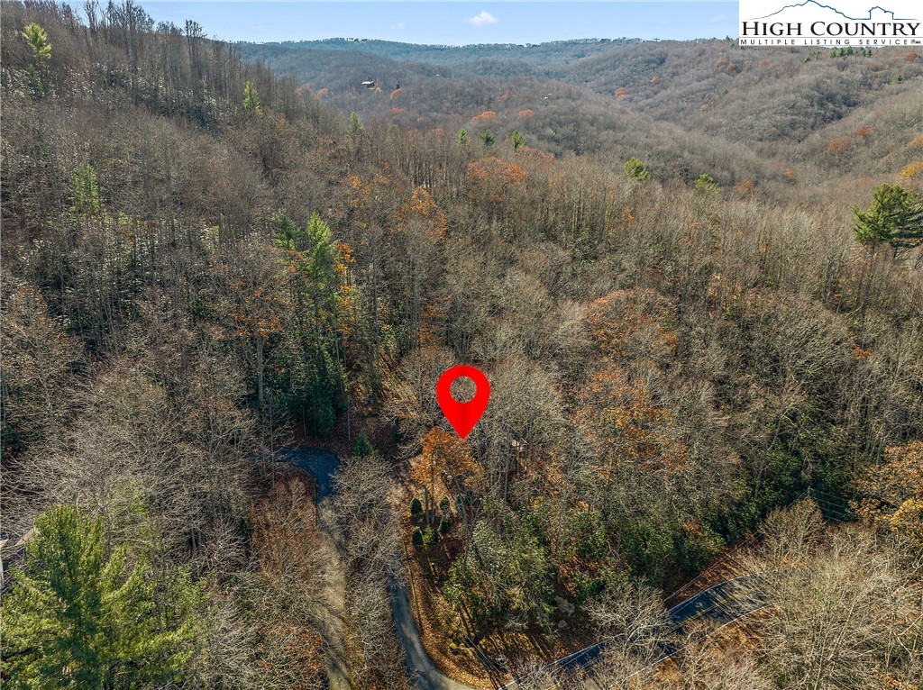 1461 Pine Ridge Road Beech Mountain, NC 28604 - Photo 42 of 47