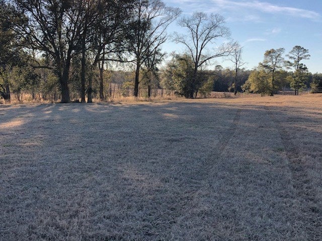 163.38-ac Cravey Bridge Road Florala, AL 36442 - Photo 44 of 49 Gallery Image 44