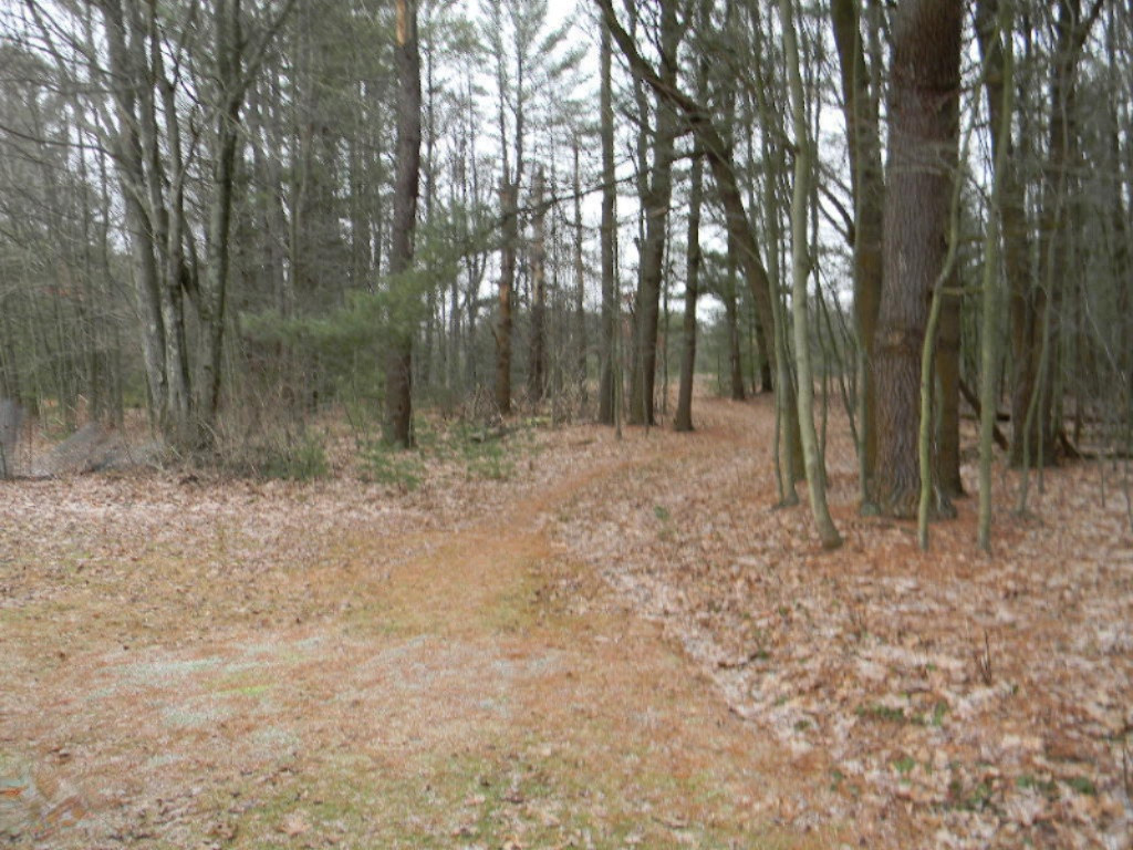 2038 Horton Road Muskegon, MI 49445 - Photo 24 of 24 DSCN0234