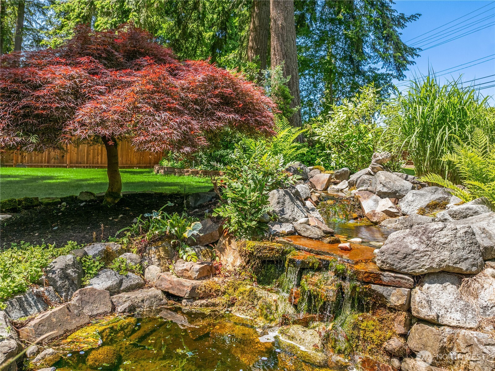 22809 38th Avenue Southeast Bothell, WA 98021 - Photo 27 of 40 a view of a garden with a tree