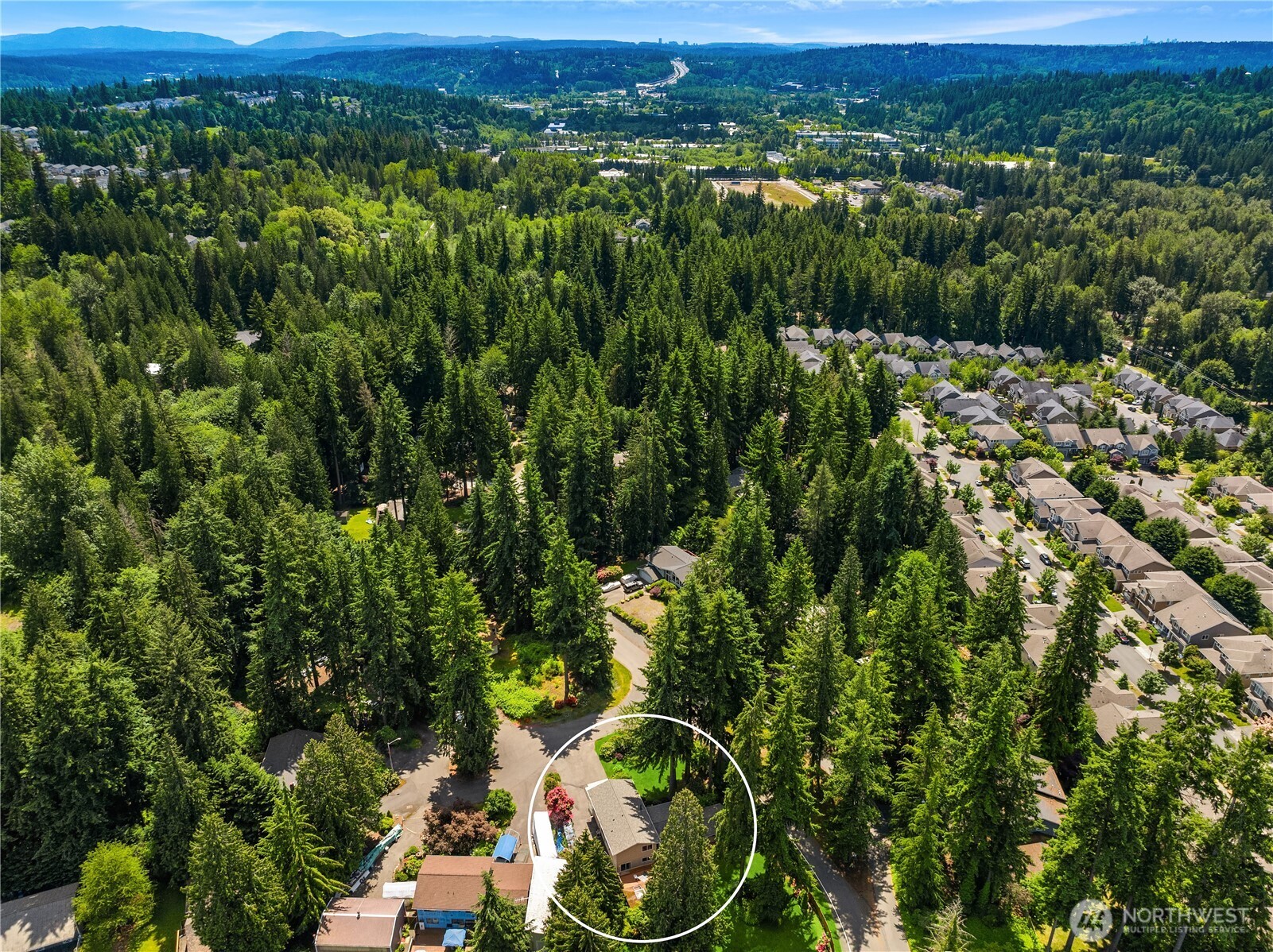 22809 38th Avenue Southeast Bothell, WA 98021 - Photo 38 of 40 a view of a city