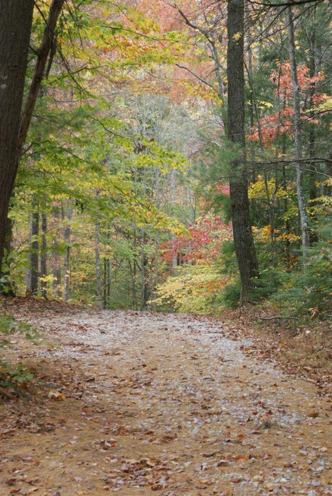 19 Midnight Pass Road Wellington, KY 40387 - Photo 1 of 1 Photo 1
