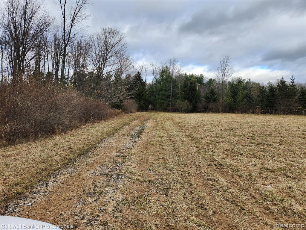 0 Martus Rd Branch North Branch, MI 48461 - Photo 6 of 10