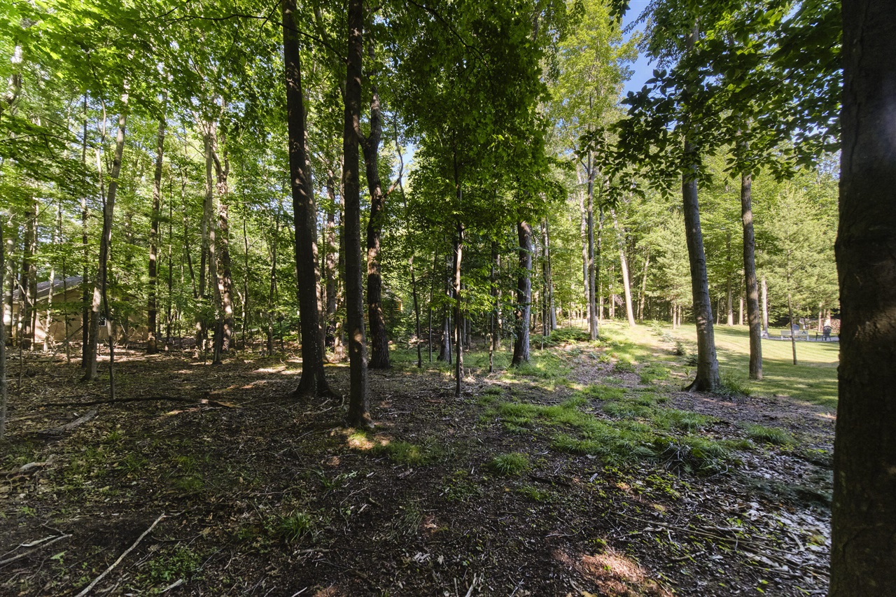 10826 Old Freesoil Road Manistee, MI 49660 - Photo 48 of 58