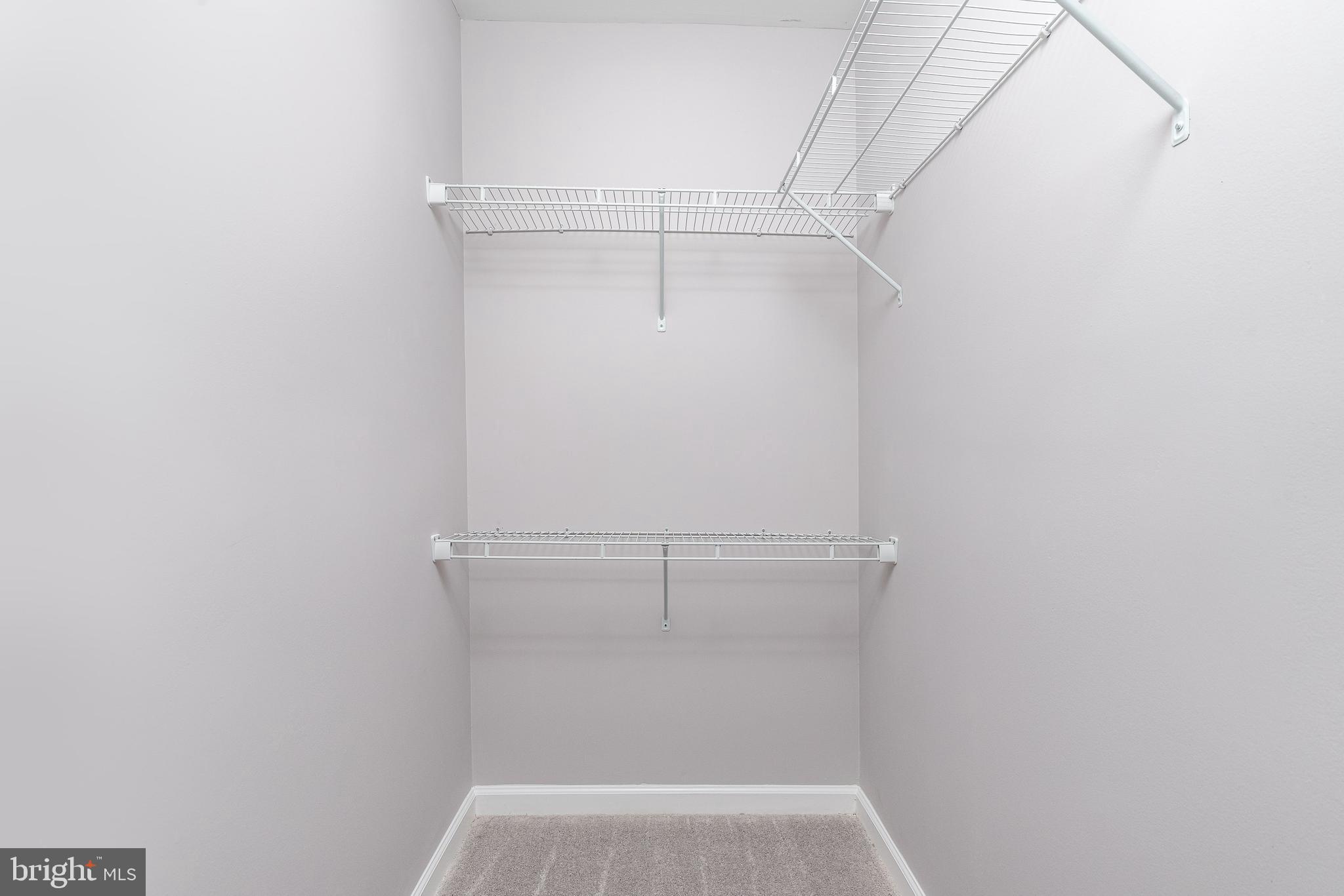 9 Fuzzy Tail Drive Ranson, WV 25438 - Photo 25 of 30 Suite is topped off with a spacious walk-in closet